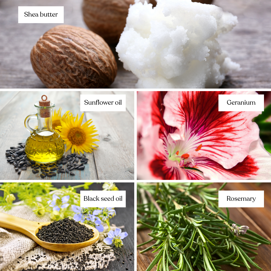 Organic Whipped Raw Shea Butter and Black Seed Oil